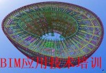 BIMgY 2v (25079)